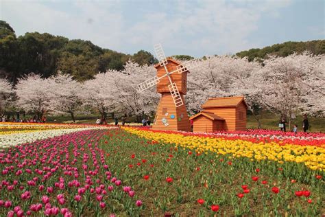 苏州上方山